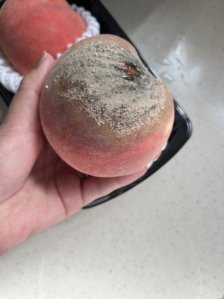 これって交換してもらえるの？（閲覧注意）