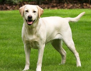 9月6日 悠仁さま 16歳の誕生日