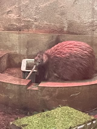 &#x{11:F8E2};なんでもいｰから&#x{11:F8E2};