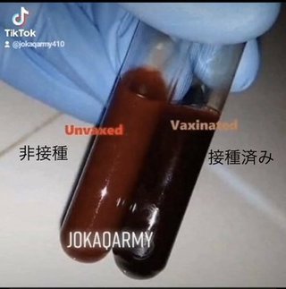 李氏( レビ氏ユダヤ人)、華僑たちが毒ワクチンをあおって日本人大虐殺企画