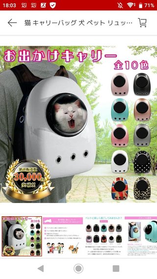 「赤ちゃん触らないでね」キーホルダーってあり？