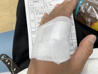 飼い猫に噛まれて亡くなったって、ミシュラン一つ星のラーメン屋店主