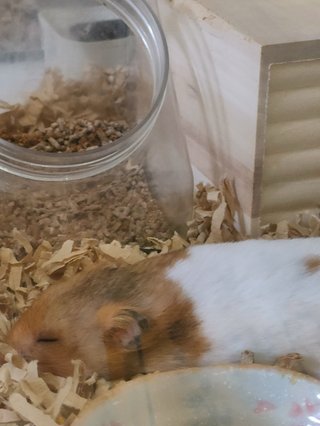 &#x{11:F8E2};なんでもいｰから&#x{11:F8E2};