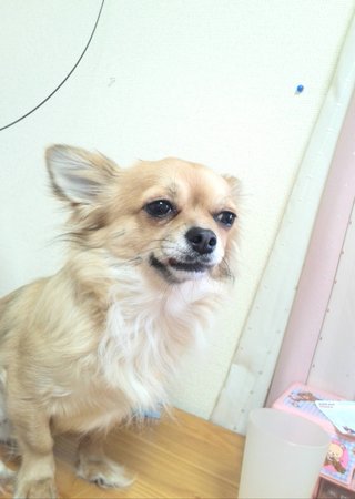 ☆馴れ合い川柳大会2022開催します★