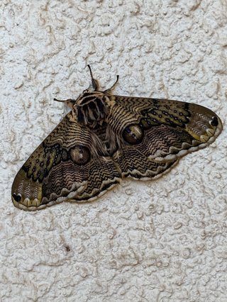 大島さんの素敵な自撮り