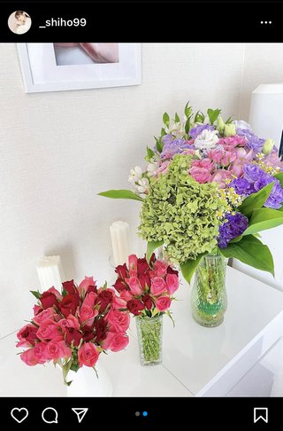 紫帆ちゃんねる