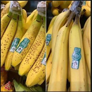 バナナの茎が緑色で茶色の斑点がある場合は化学熟成、黒い茎は自然熟成のバナナを示しています