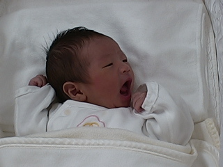 赤ちゃんのライブカメラ映像