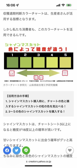 シャインマスカットたべた？！