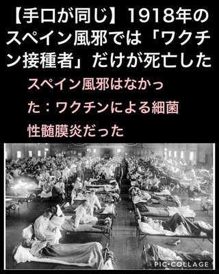 金髪の白人たちは  コロナは中国軍の詐欺劇だという事実を知っている 
