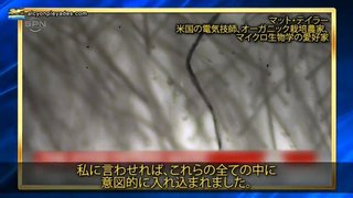 李氏( レビ氏ユダヤ人)、華僑たちが毒ワクチンをあおって日本人大虐殺企画