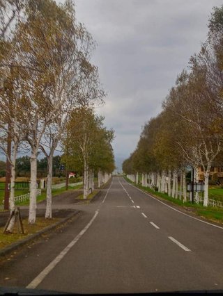 &#x{11:F8E2};なんでもいｰから&#x{11:F8E2};