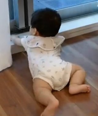 紫帆ちゃんねる