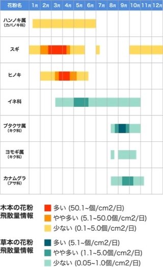 今ってアレルギーになる花粉とんでる？