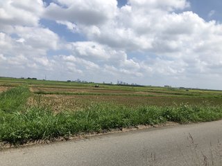 &#x{11:F8E2};なんでもいｰから&#x{11:F8E2};