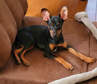 &#x{11:F8E2};なんでもいｰから&#x{11:F8E2};