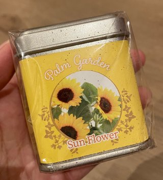 双子の りんか あんな ちゃん