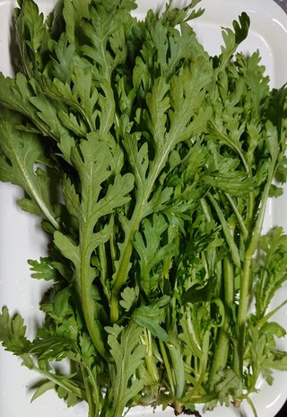 今夜の晩ごはん