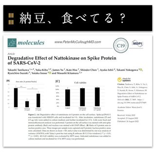 納豆は「  毒ワクチンの血液凝固（血栓）」防止に強い効果がある