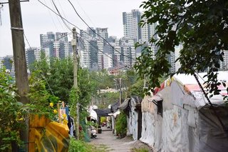 ｢耳にゴキブリが入る」畜舎やビニルハウスなどに住む貧困児童たち【韓国】