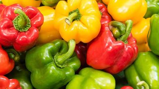 【茨城県】国産パプリカの生産倍増へ！高度な環境制御システムのガラスハウス新施設が完成