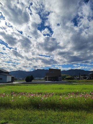 &#x{11:F8E2};なんでもいｰから&#x{11:F8E2};