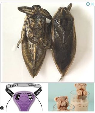 気持ちの悪い広告