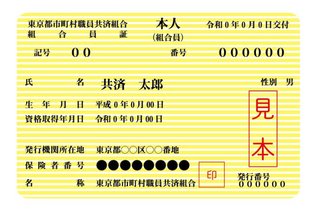 画像を参考に！みんなはどの保険証？