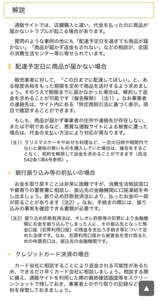 ぷちあや（プチプラのあや）