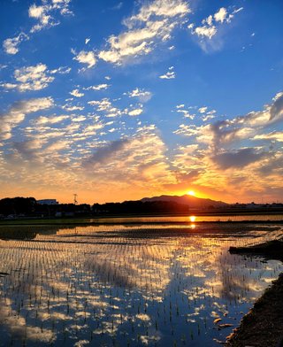 &#x{11:F8E2};なんでもいｰから&#x{11:F8E2};