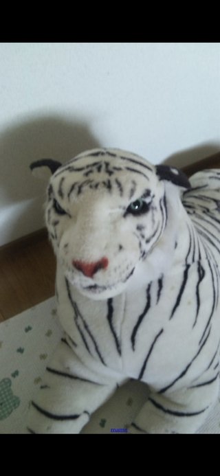 やばい、臨時収入