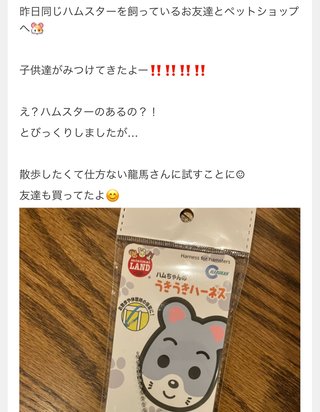 双子の りんか あんな ちゃん