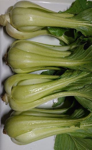 今夜の晩ごはん