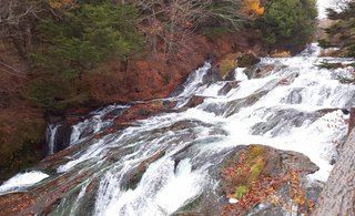 &#x{11:F8E2};なんでもいｰから&#x{11:F8E2};