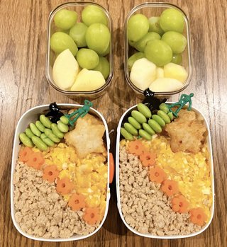 双子のりんかあんなちゃん