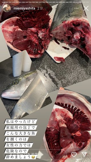 宮下美恵ヲチ