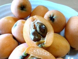 ビワの種を食べないように言われているのは癌が治っては困るから! 毒ワクチン解毒剤 