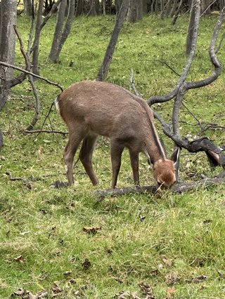 &#x{11:F8E2};なんでもいｰから&#x{11:F8E2};