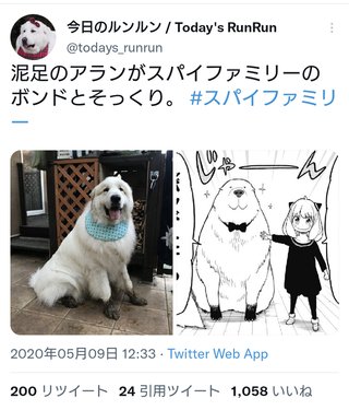 SPY×FAMILY【総合】