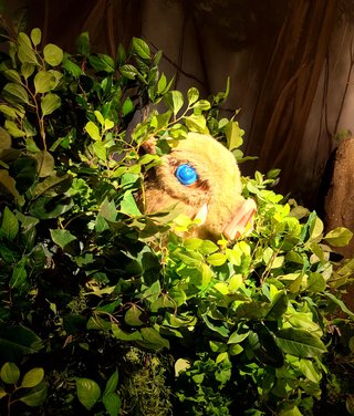 鬼滅の刃好きな人だけ来て！