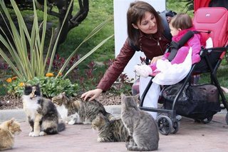 猫と共存する国