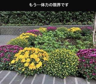 ★松居一代  100歳人生 投資家として新ビジネスを展開できるか？