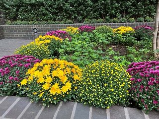 ★松居一代  100歳人生 投資家として新ビジネスを展開できるか？