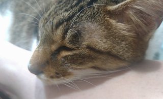 やばい　足とられた