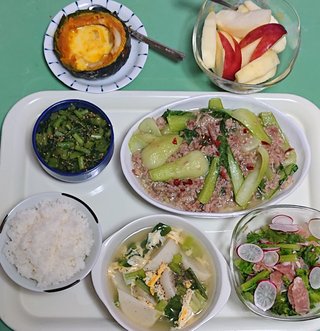 今夜の晩ごはん