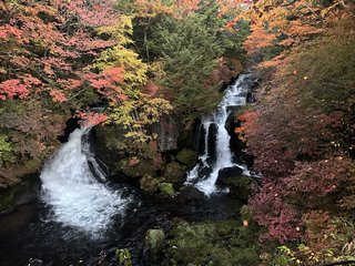 &#x{11:F8E2};なんでもいｰから&#x{11:F8E2};