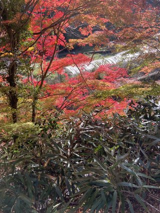 ミ☆馴れ合いのなんでも語れるトピ☆ミ