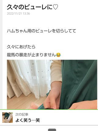 双子のりんかあんなちゃん