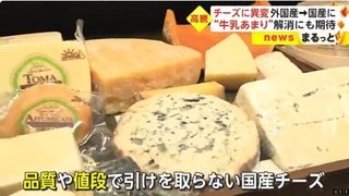 国産チーズの生産が増加　牛乳大量破棄の解消にも