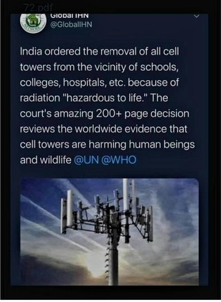 毒ワクチンと5Gは鳥が数千羽一度に死んだり牛や家畜が何千頭も一度に死んだり